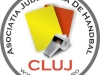 ajh-cluj-logo